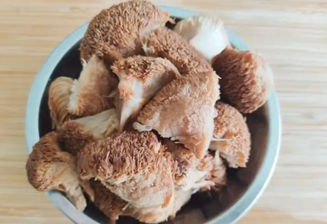 乾猴頭菇保存