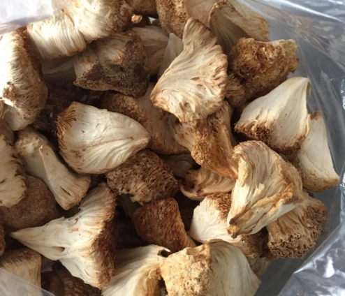 乾猴頭菇營養