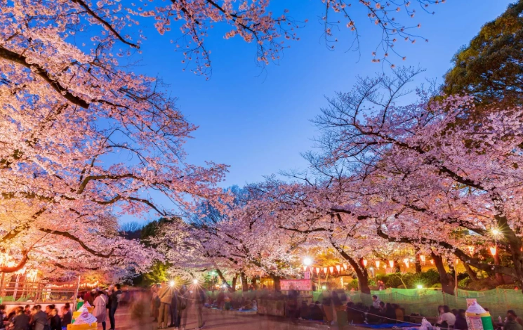 夜遊上野 夜遊上野