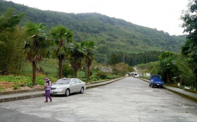 大凍山接駁車 大凍山接駁車